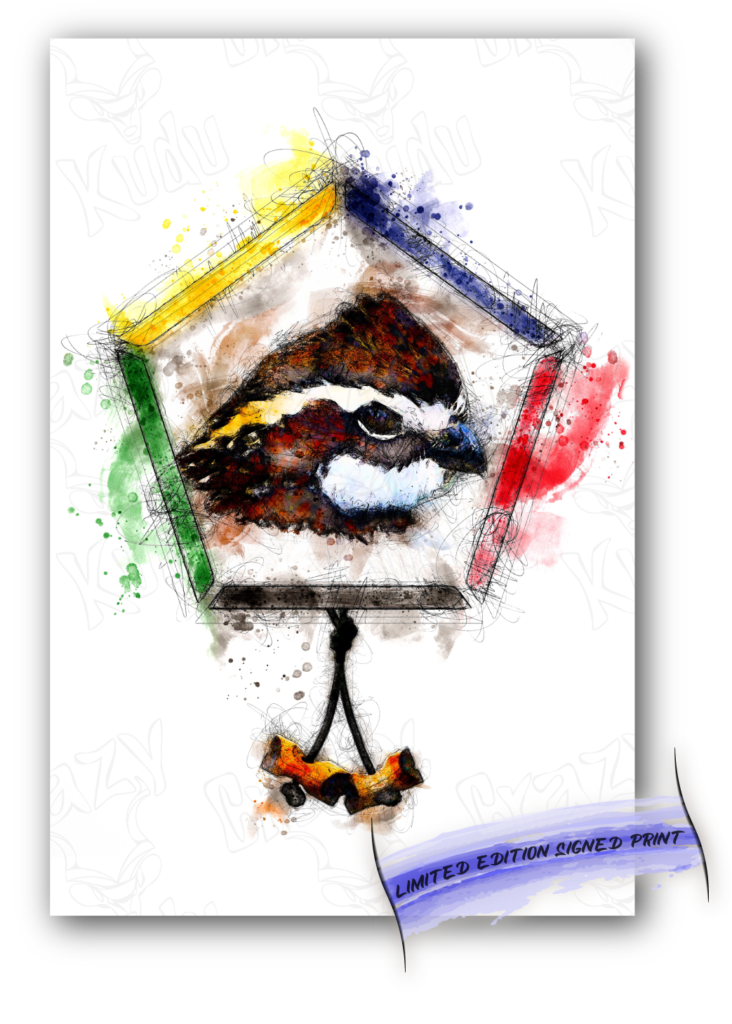 Wood Badge Bobwhite watercolor