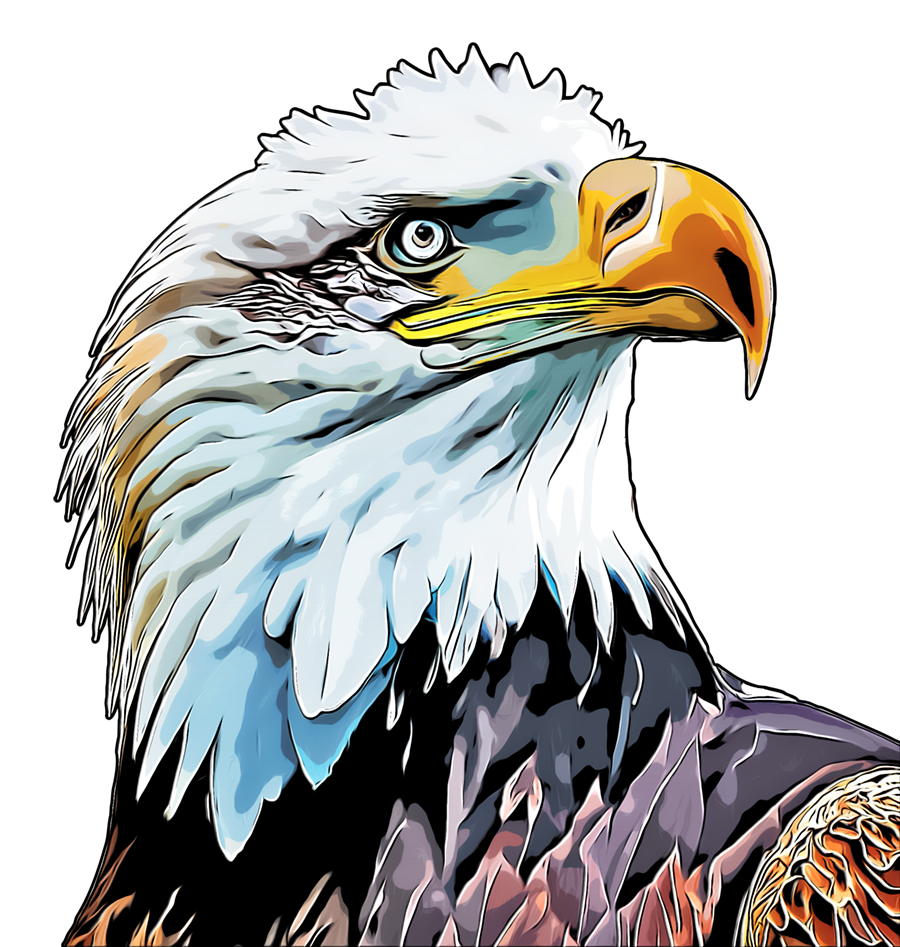 Eagle cartoon art small