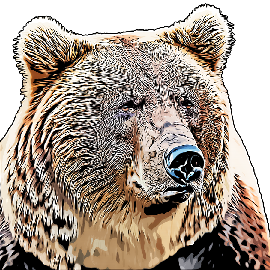 Bear cartoon art small